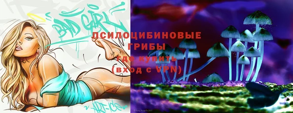 ECSTASY Рославль